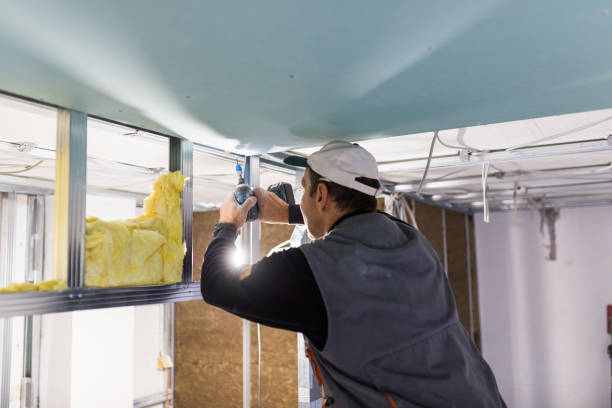 Best Insulation Removal  in Anthony, KS